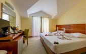 Туры в отель Viking Park Hotel & Spa