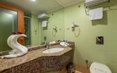 Туры в отель Viking Park Hotel & Spa