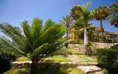 Туры в отель Vital Suites Residencia, Salud & Spa