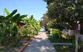 Туры в отель Ugur Hotel Beach