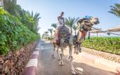 Туры в отель Sunny Days Resort, Spa & Aqua Park
