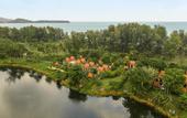 Туры в отель Banyan Tree Wellbeing Sanctuary