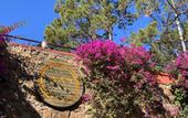 Туры в отель Marmaris Bay Resort