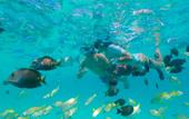 Туры в отель Kagi Maldives Spa Island