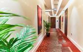 Туры в отель Rose Plaza Hotel