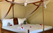 Туры в отель Summer Dream Lodge