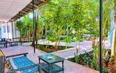 Туры в отель Papaya Guest House