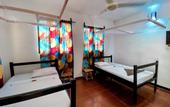 Туры в отель Papaya Guest House
