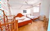 Туры в отель Papaya Guest House