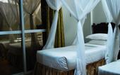 Туры в отель Mc-Ellys Hotel