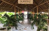 Туры в отель Driftwood Beach Lodge