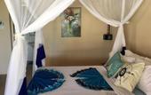 Туры в отель Driftwood Beach Lodge