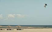 Туры в отель Casa Cook El Gouna