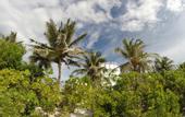 Туры в отель Airport Beach Hotel