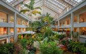 Туры в отель Dusit Thani Pattaya