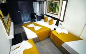 Туры в отель Exporoyal Hotel