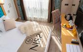 Туры в отель Niss Business Hotel