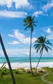 Туры в отель Lankavatara Ocean Retreat & Spa