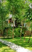 Туры в отель Lankavatara Ocean Retreat & Spa