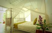 Туры в отель Beach Grove Villas