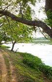 Туры в отель Best Life Eco Resort Mattala