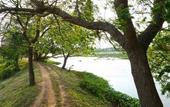 Туры в отель Best Life Eco Resort Mattala