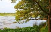Туры в отель Best Life Eco Resort Mattala