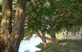 Туры в отель Best Life Eco Resort Mattala