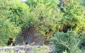 Туры в отель Best Life Eco Resort Mattala