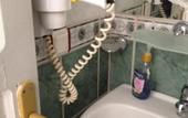 Туры в отель Flash Hotel