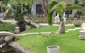 Туры в отель Dynasty Mui Ne Beach Resort
