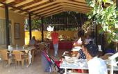Туры в отель Caner Hotel