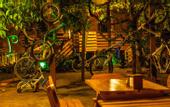 Туры в отель Chimera Pia Hotel