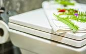 Туры в отель Queen Boutique Hotel