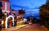 Туры в отель Queen Boutique Hotel