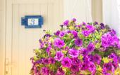 Туры в отель Sade Butik Otel