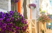 Туры в отель Sade Butik Otel