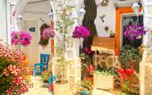 Туры в отель Sade Butik Otel