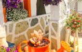 Туры в отель Sade Butik Otel