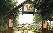 Туры в отель Eagle Ranch Resort