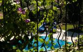 Туры в отель Seki Cottages