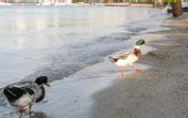 Туры в отель Knidos Hotel