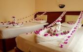 Туры в отель Palmen Apart Hotel