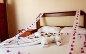 Туры в отель Palmen Apart Hotel