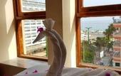 Туры в отель Palmen Apart Hotel