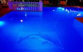 Туры в отель Palmen Apart Hotel