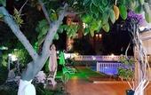 Туры в отель Palmen Apart Hotel