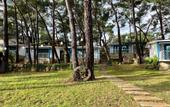 Туры в отель Joya Del Mar Hotel