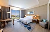 Туры в отель Hilton Abu Dhabi Yas Island