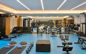 Туры в отель Hilton Abu Dhabi Yas Island